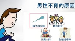 不育是什么原因引起的呢男性