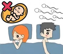 男性不育有几个原因