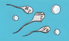 男性不育能恢复吗